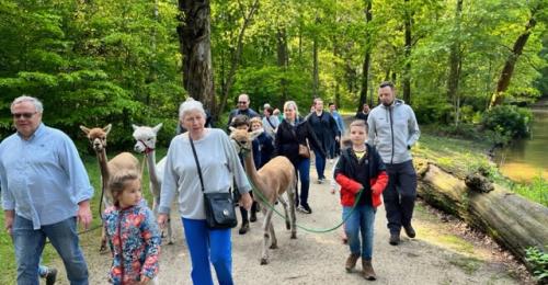 2023-Alpacawandeling