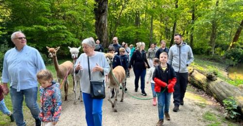 2023-Alpacawandeling