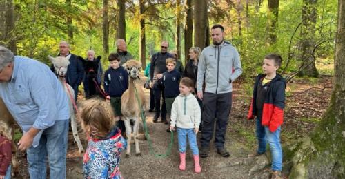 2023-Alpacawandeling