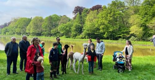 2023-Alpacawandeling