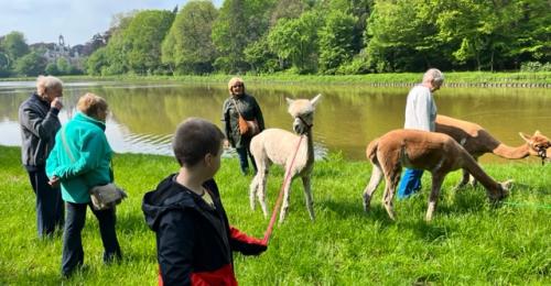 2023-Alpacawandeling