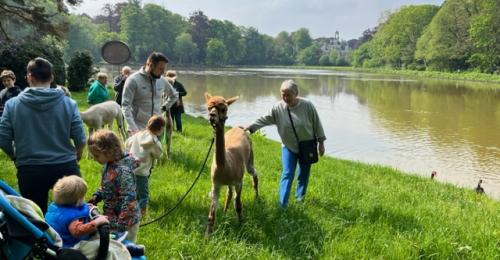 2023-Alpacawandeling