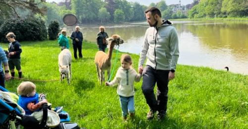 2023-Alpacawandeling