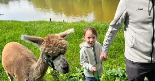 2023-Alpacawandeling
