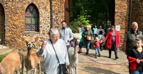 2023-Alpacawandeling