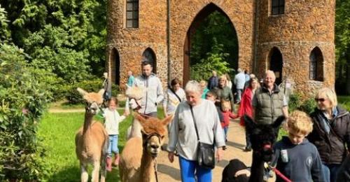 2023-Alpacawandeling