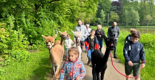 2023-Alpacawandeling